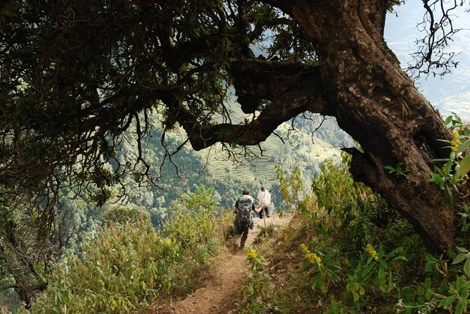 Nepal Round Tour with Annapurna Trek 14 Days - The Annapurna trek week: guesthouses, village life, and Khopra Danda area views