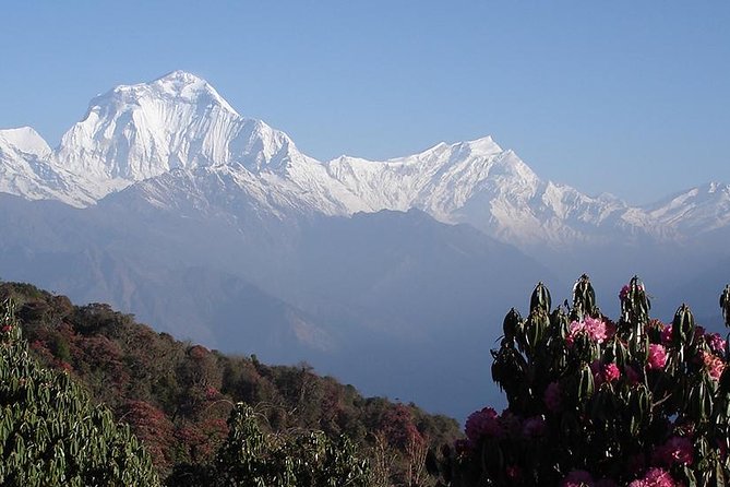 Nepal Round Tour with Annapurna Trek 14 Days - Value and price: what you get for $1,227.78 (and what you handle yourself)