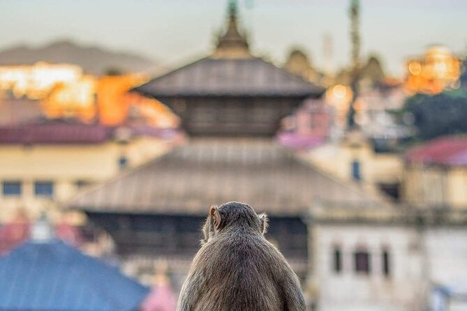 PashupatiNath and BoudhaNath - Private/Small Group - Stop 2, Aryaghat crematoria: understanding last rites and Shodasha Samskaras