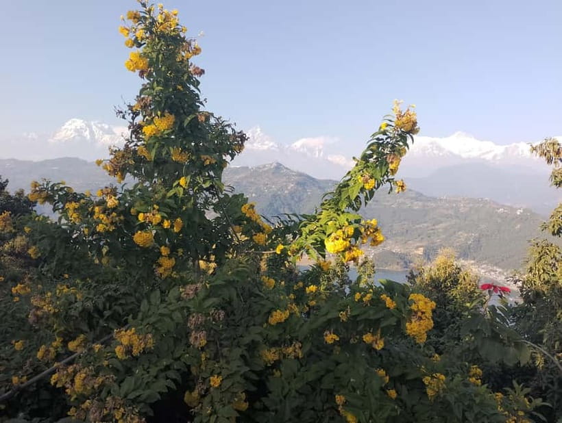 Peace & Panorama: Stupa and Pumdikot Scenic Drive Tour - Price and Timing: What You Are Really Buying