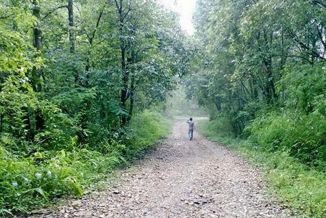 Phulchoki bird-watching tour - From Kathmandu to Godawari by 6:15 am