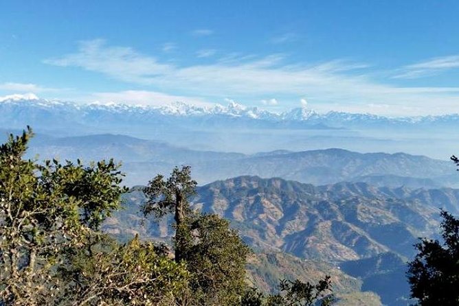 Phulchoki bird-watching tour - The day’s flow, including lunch and the drive back