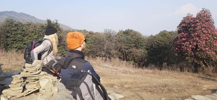 Pkr. Backpacker Group Dep.: 4 Day Mardi Himal Base Camp Trek - Altitude and fitness: how to prepare for a 4-day summit day
