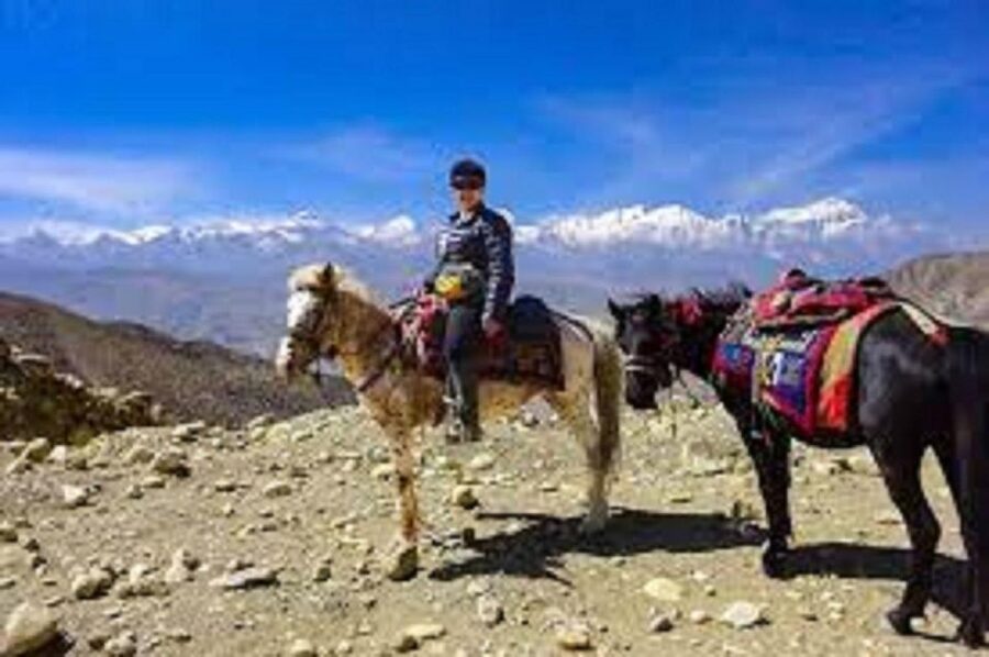 Pokhara: 1-Hour Horseback Ride with Hotel Pickup - Key things that make this ride work