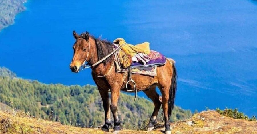 Pokhara: 1-Hour Horseback Ride with Hotel Pickup - How this 1-hour ride fits Pokhara timing