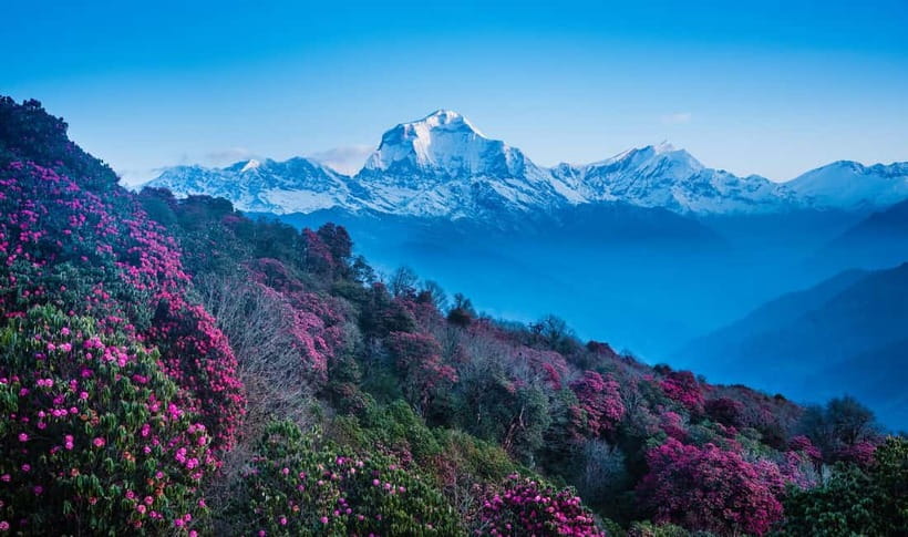 Pokhara: 2 & 3 Days Ghorepani Poon Hill Private Guided Trek - Guides make or break it: the human side of this private trek