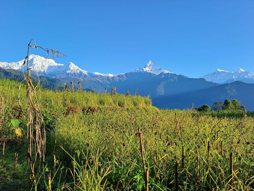 Pokhara: 2-Day Australian Camp & Dhampus Village Easy Hike - Day 2: Dhampus sunrise vibes, Astam village, Hemja descent to Pokhara