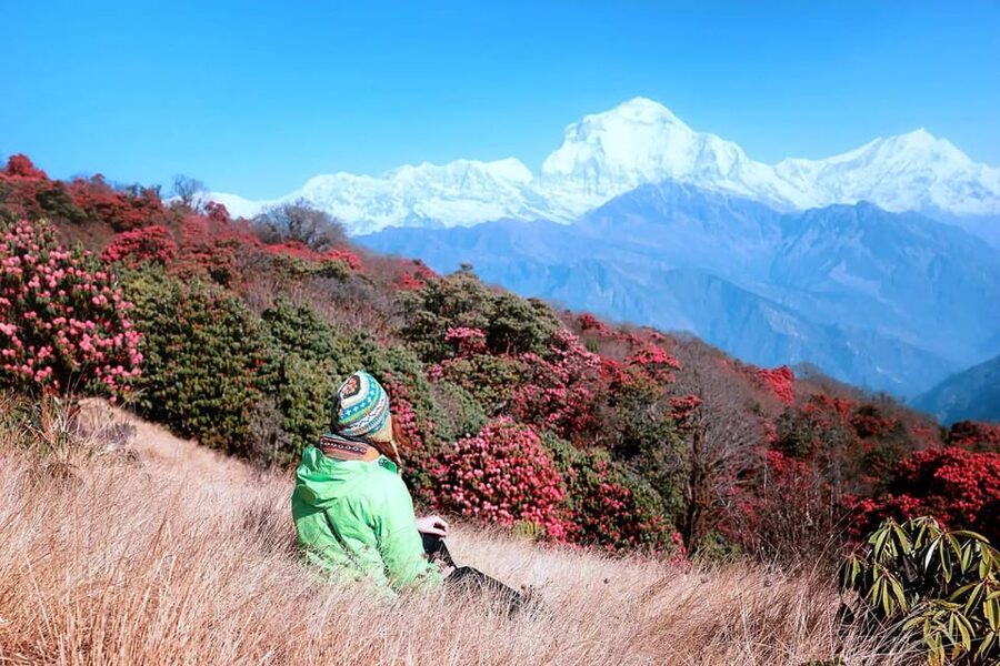 Pokhara: 2 Day Ghorepani & Poon Hill Private Trekking - Why this 2-day Ghorepani and Poon Hill trek works so well from Pokhara