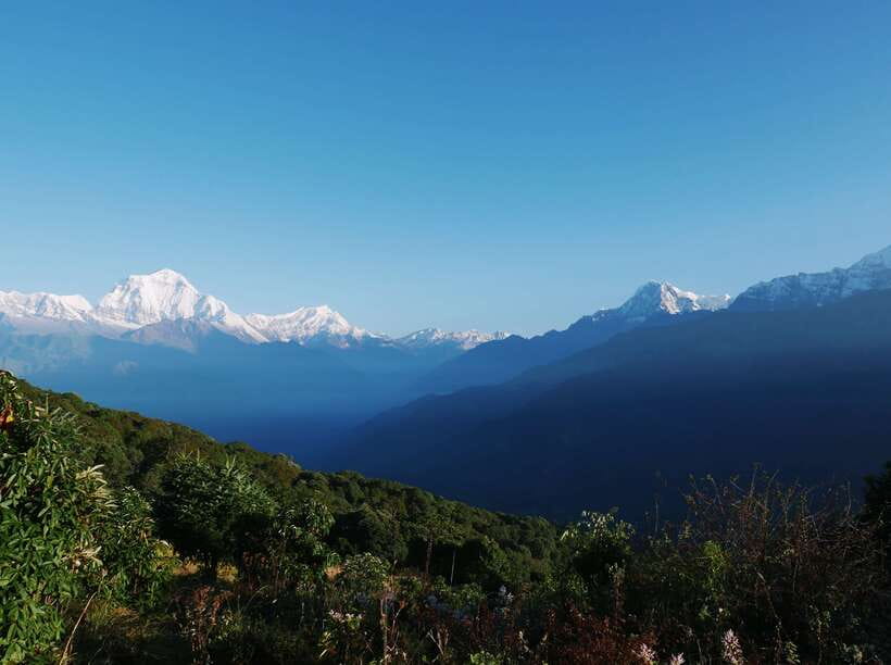 Pokhara: 2-Day Short & Sweet Ghorepani Poon Hill Guided Trek - Guides, pace, and the kinds of small fixes that earn trust