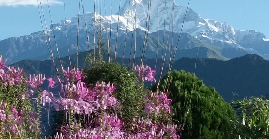 Pokhara: 3-Day Trek - Where this trek fits, and what you are actually walking toward