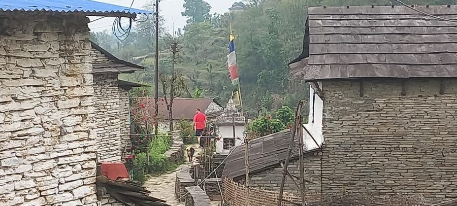 Pokhara: 3-Day Trek - The guide and porter setup that makes this feel safe