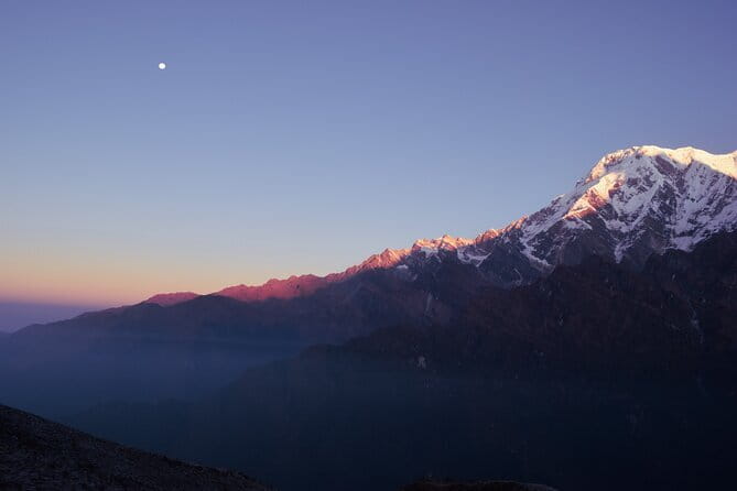 Pokhara 3 Days Ghorepani and Poon Hill Private Trek via Ghandruk - Day 2: Poon Hill Sunrise, Rhododendron Country, and the Way Down to Ghandruk