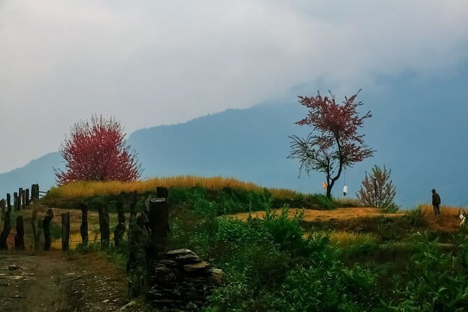 Pokhara 3 Days Ghorepani and Poon Hill Private Trek via Ghandruk - The Human Part: Guides, Pace, and Real Support