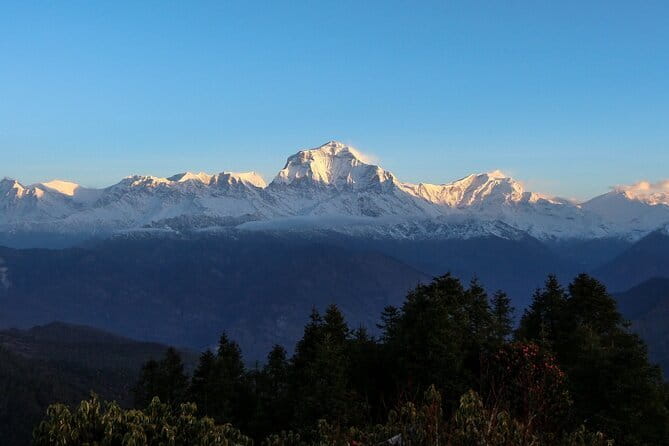 Pokhara 3 Days Ghorepani and Poon Hill Private Trek via Ghandruk - Price and Value: Why $218 Can Make Sense for This Route
