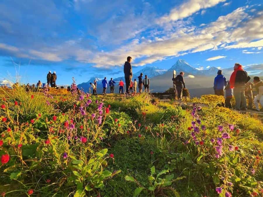 Pokhara: 3- days Poon Hill Trek - Ulleri to Ghorepani: Rhododendrons, Big Mountain Faces, and Machapuchare Coming Into Focus