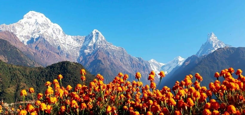 Pokhara: 4-Day Ghorepani, Poonhill & Ghandruk Mountain Trek - Key highlights you should actually care about