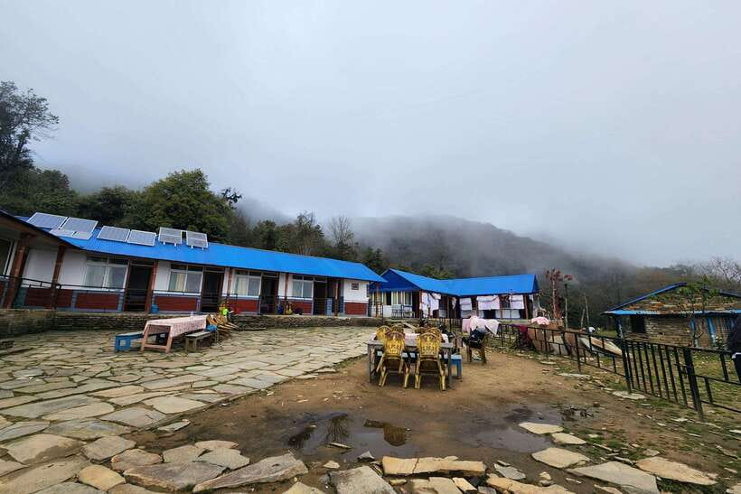 Pokhara: 4-Day Mardi Himal Trek - Day 4 Forest Camp down to Kalimati, then Jeep back to Pokhara