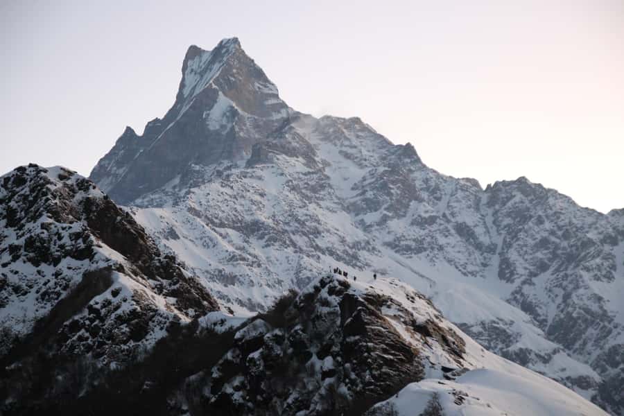 Pokhara: 4-Day Mesmerizing Mardi Himal Guided Trek - Day 2: Forest Camp to High Camp, jungle hiking with real mountain views