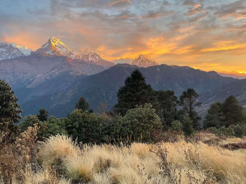 Pokhara: 4-Day Poon Hill and Ghandruk Guided Trek - Ulleri to Ghorepani: steps, tea houses, and rhododendron season