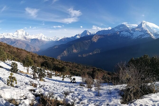 Pokhara: 4 Day Poon Hill Trek - Why Poon Hill is such a good 4-day goal from Pokhara