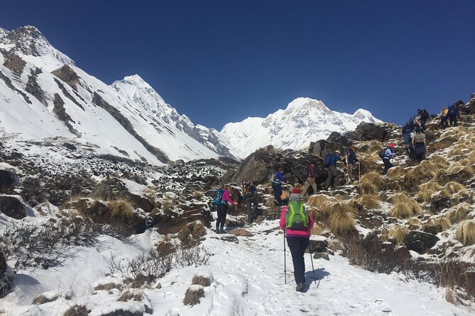 Pokhara: 4 Day Poon Hill Trek - Day 2 Ghorepani: Ulleri Stairs and rhododendron forest trekking