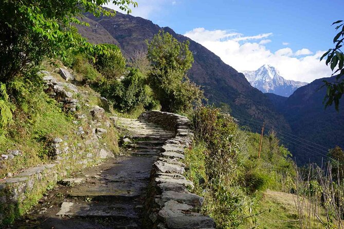 Pokhara: 4 Day Poon Hill Trek - Pokhara logistics: pickup, the Nayapul drive, and why it matters