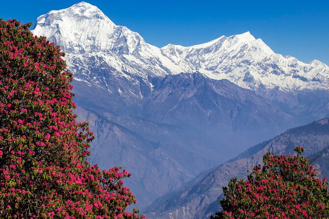 Pokhara: 4 Days Poon Hill and Ghandruk Trek - Poon Hill sunrise plus Ghandruk descent: the day that earns its reputation