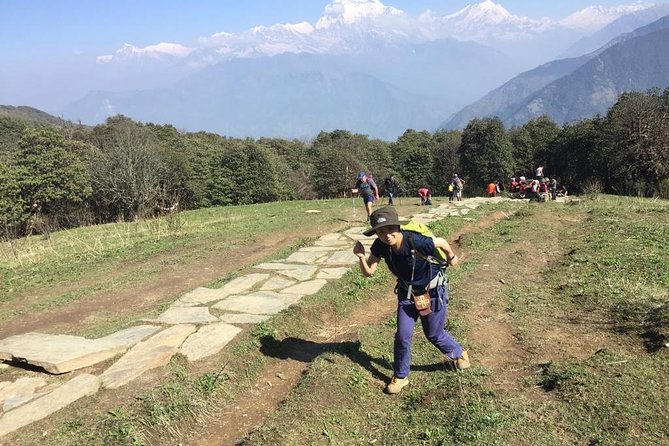 Pokhara: 4 Days Poon Hill - Ghandruk Village Trek - Guide Quality and Safety on Nepal Trails, From Amrit to Bisham and Krishna