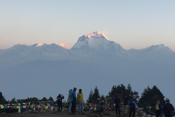 Pokhara: 4 Days Poon Hill - Ghandruk Village Trek - Rhododendron Forests and Annapurna Views on the Way to Ghorepani