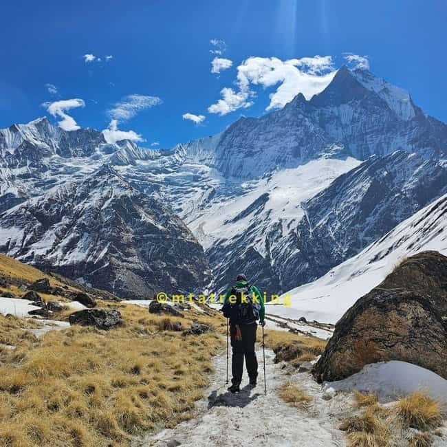 Pokhara: 5-Day Annapurna Base Camp (ABC) Trek - The trekking rhythm: private guide, English support, and tea house living
