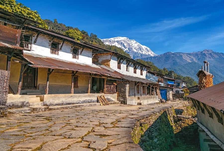 Pokhara: 5 Day Annapurna Base Camp Trek & Natural Hot Spring - Price and logistics: how $171 fits the value picture