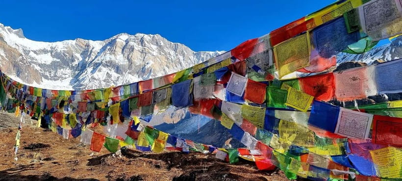 Pokhara: 5-Day Annapurna Base Camp Trek with Hot Spring - Day 4: Sunrise, Then A Long Descent Back To Lower Sinuwa