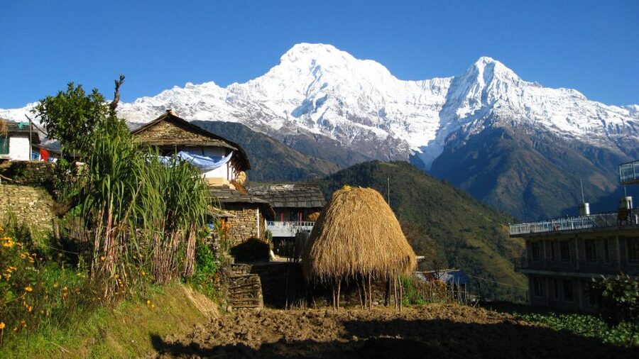 Pokhara: 5-Day Ghorepani and Poon Hill Private Trek - Key takeaways before you book