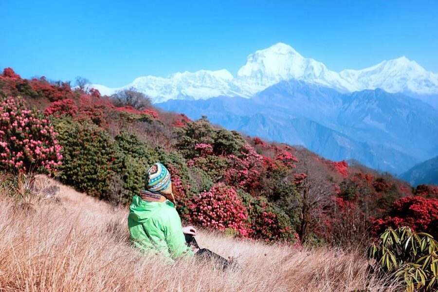 Pokhara: 5-Day Ghorepani and Poon Hill Private Trek - Ghandruk to Nayapul and back to Pokhara at 820m