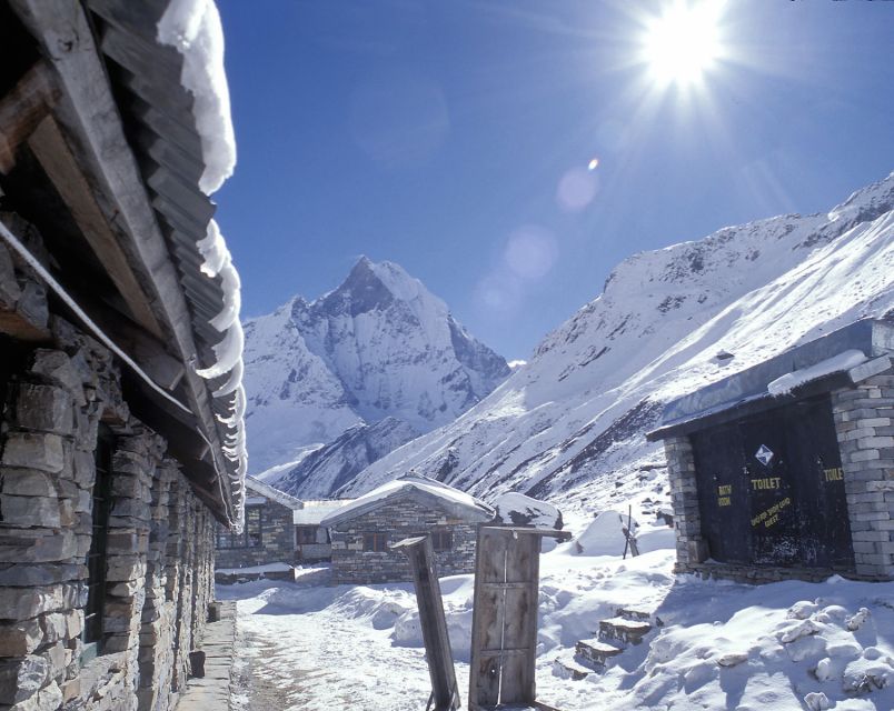 Pokhara: 5-Day Trek to Annapurna Base Camp and Hot Springs - Day 2: Chhomrong-sized energy, then forest hiking to Deurali