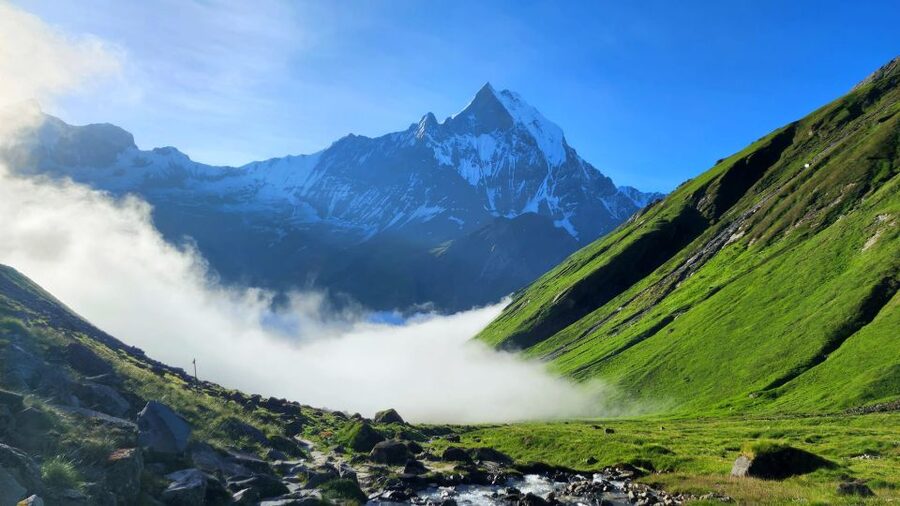 Pokhara: 9-Day Annapurna Base Camp Trek with Poon Hill - Tikhedhunga to Ghorepani: Ulleri steps and rhododendron season magic