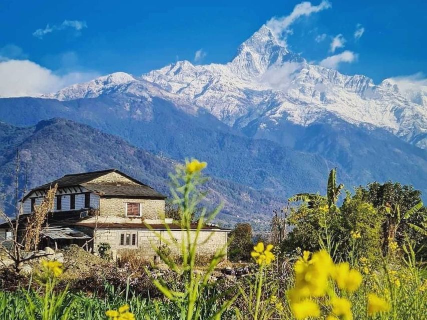 Pokhara: 9-Day Annapurna Base Camp Trek with Poon Hill - Sinuwa to Deurali, with Machhapuchhre in the background