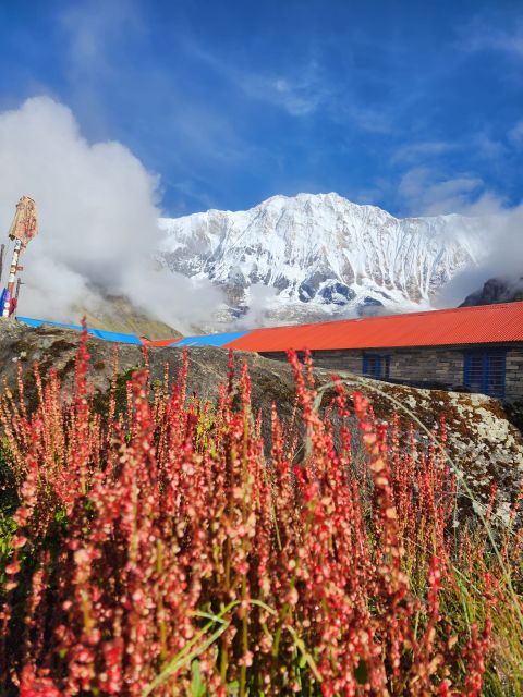Pokhara: 9-Day Annapurna Base Camp Trek with Poon Hill - Deurali to Annapurna Base Camp: the day altitude changes everything