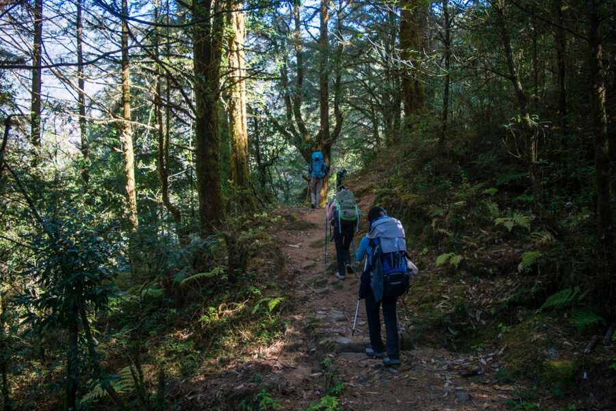Pokhara: 9-Day Annapurna Base Camp Trek with Poon Hill - Down to Bamboo and onward to Jhinu Dada hot springs