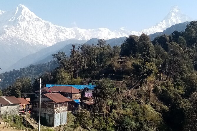 Pokhara: Annapurna Base Camp Trek Multi-Day Guided Tour - Poon Hill sunrise and Tadapani: chasing light, then walking into the clouds