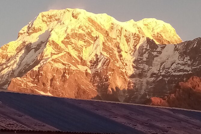 Pokhara: Annapurna Base Camp Trek Multi-Day Guided Tour - Chhomrong to Bamboo, via bridges and rhododendrons: the middle of the trek