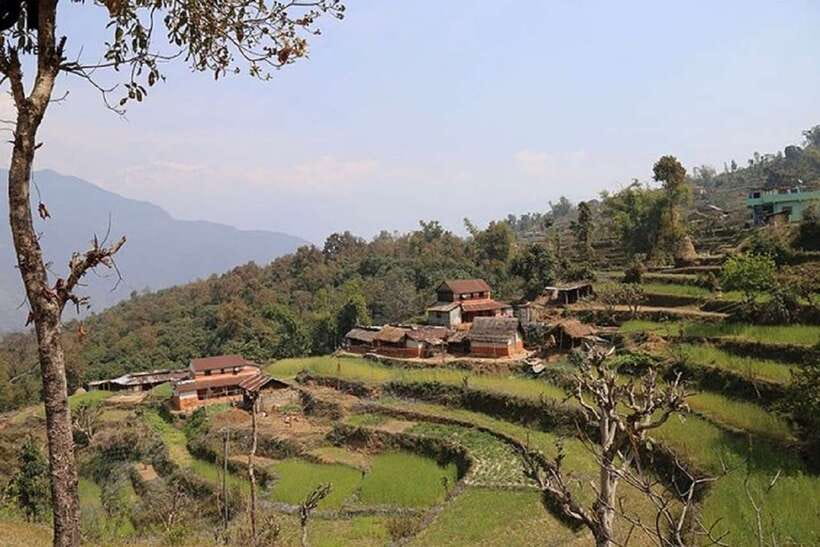 Pokhara: Annapurna Day Hike with Panoramic Views - Dhampus Gurung Village: Terraces, Culture, and a Slower Kind of Walking