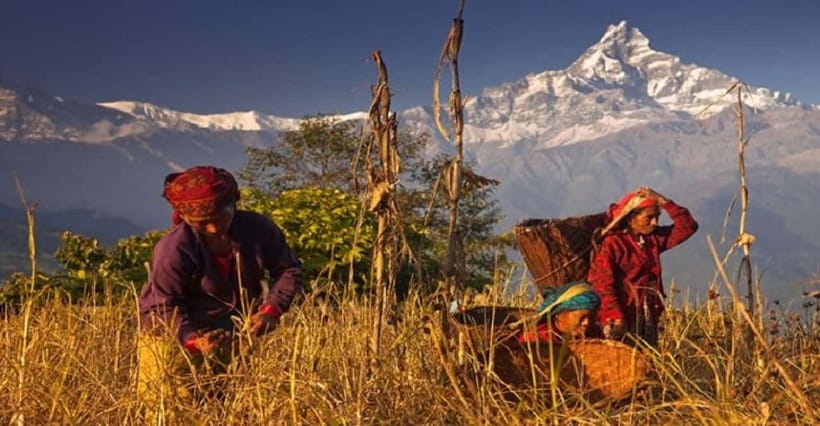 Pokhara: Annapurna Day Hike with Panoramic Views - Moti Thapa and the Real Meaning of Guide Quality