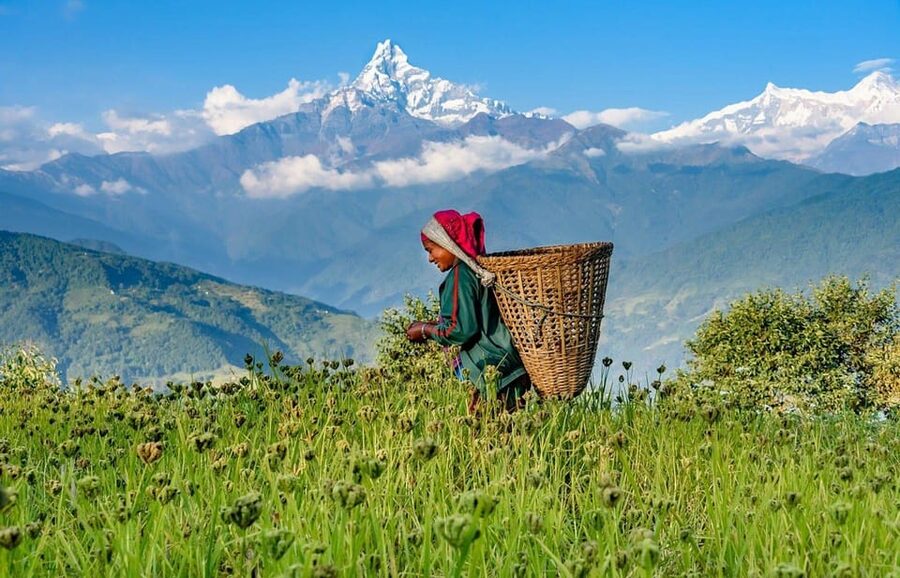 Pokhara: Annapurna Foothills Private Day Hike with Transfers - Transfers back to Pokhara: finish strong, not exhausted