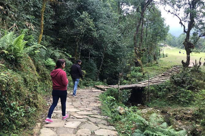 Pokhara: Day Hiking form Dhampus to Australian Camp - Getting there: hotel pickup, a 1 hour 20 drive, and a 8:15 start