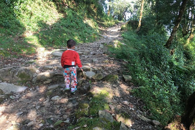 Pokhara: Day Hiking form Dhampus to Australian Camp - Dhampus View Tower: first Annapurna views and village life