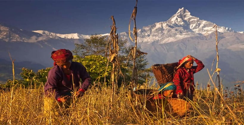 Pokhara: Day Hiking to Australian Base Camp with Lunch - Phedi viewpoints and the descent back to Kande