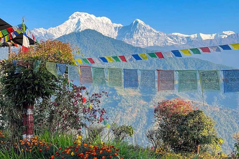 Pokhara: Day Hiking to Australian Base Camp with Lunch - Price value: what $14 buys, and what costs more