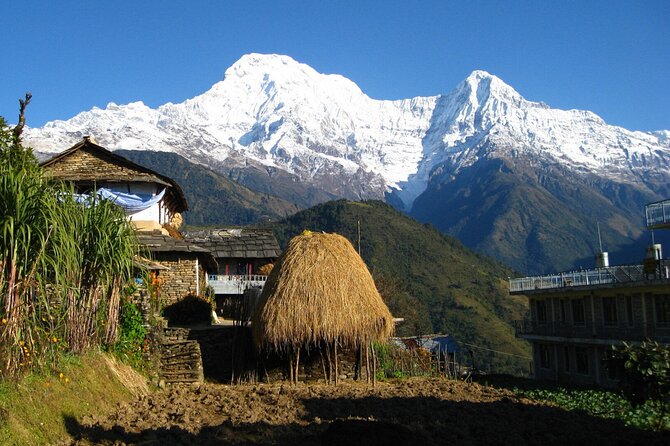 Pokhara: Dhampus Easy Trek for Families with YoungKids 2 Day Tour - Dhampus Trek, built for families with young kids