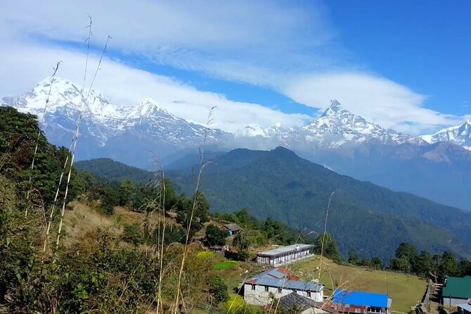 Pokhara: Dhampus Easy Trek for Families with YoungKids 2 Day Tour - Price and what $180 per person really covers